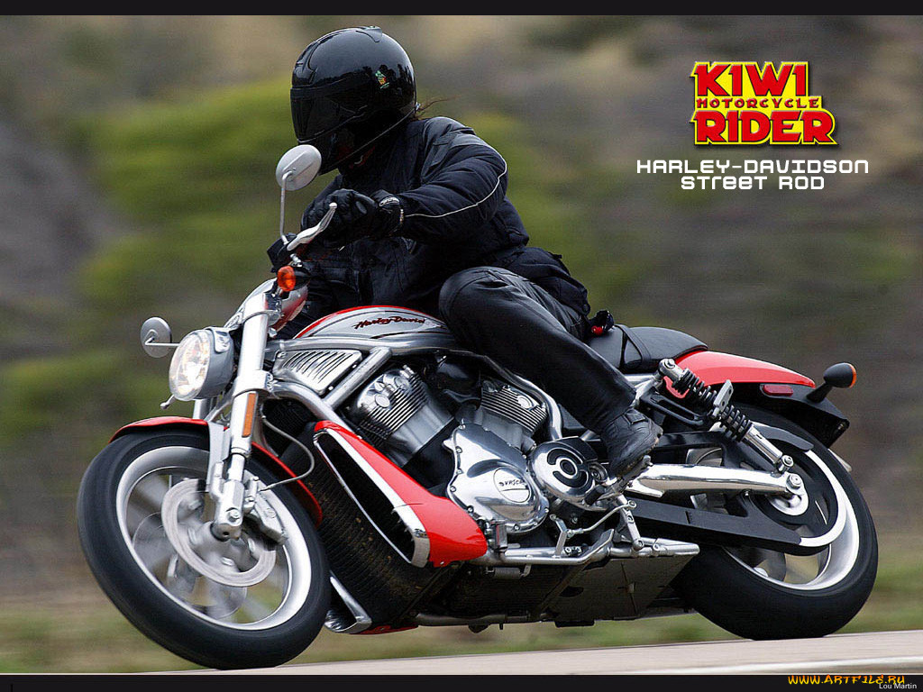 , harley, davidson